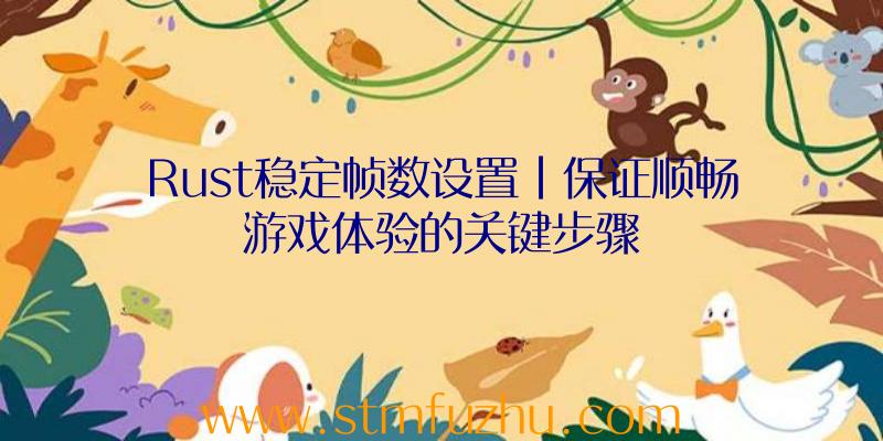 Rust稳定帧数设置|保证顺畅游戏体验的关键步骤
